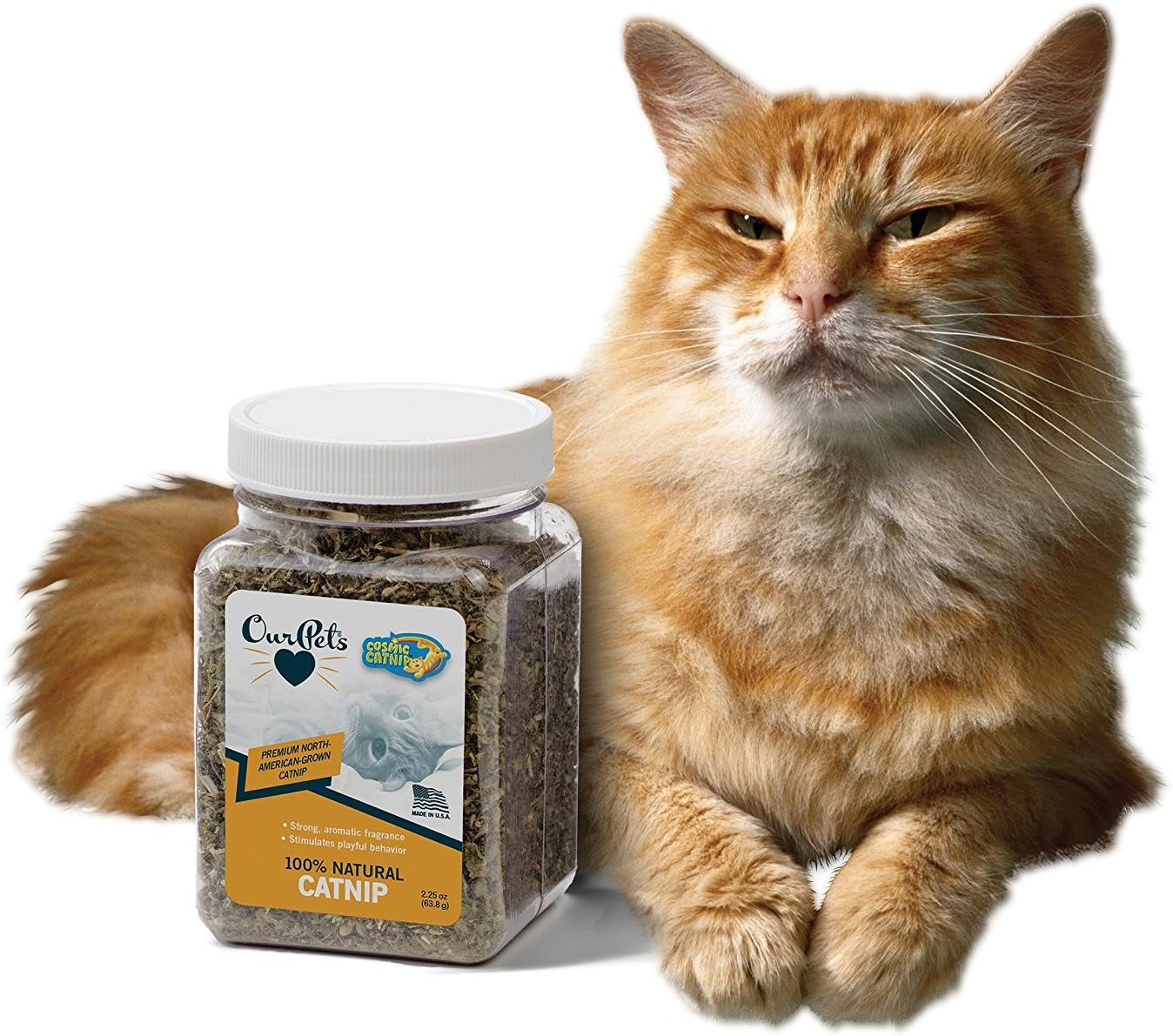 Premium Catnip - 2.25 Oz Jar of High Potency Catnip - 100% North American Grown