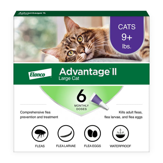 Vet-Recommended Flea Prevention for Large Cats 9 Lbs+, 6-Monthly Treatments