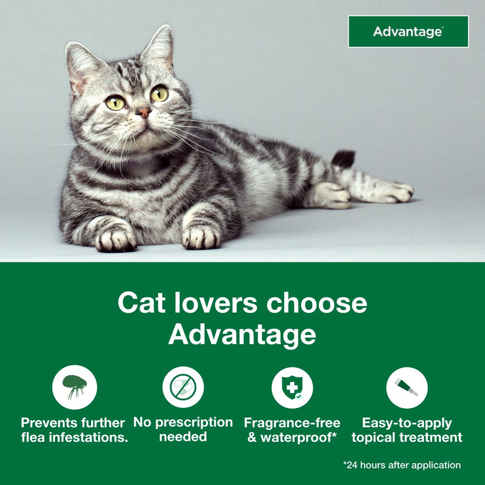 Topical Flea Prevention for Large Cats 9 Lbs+, 2-Monthly Treatments