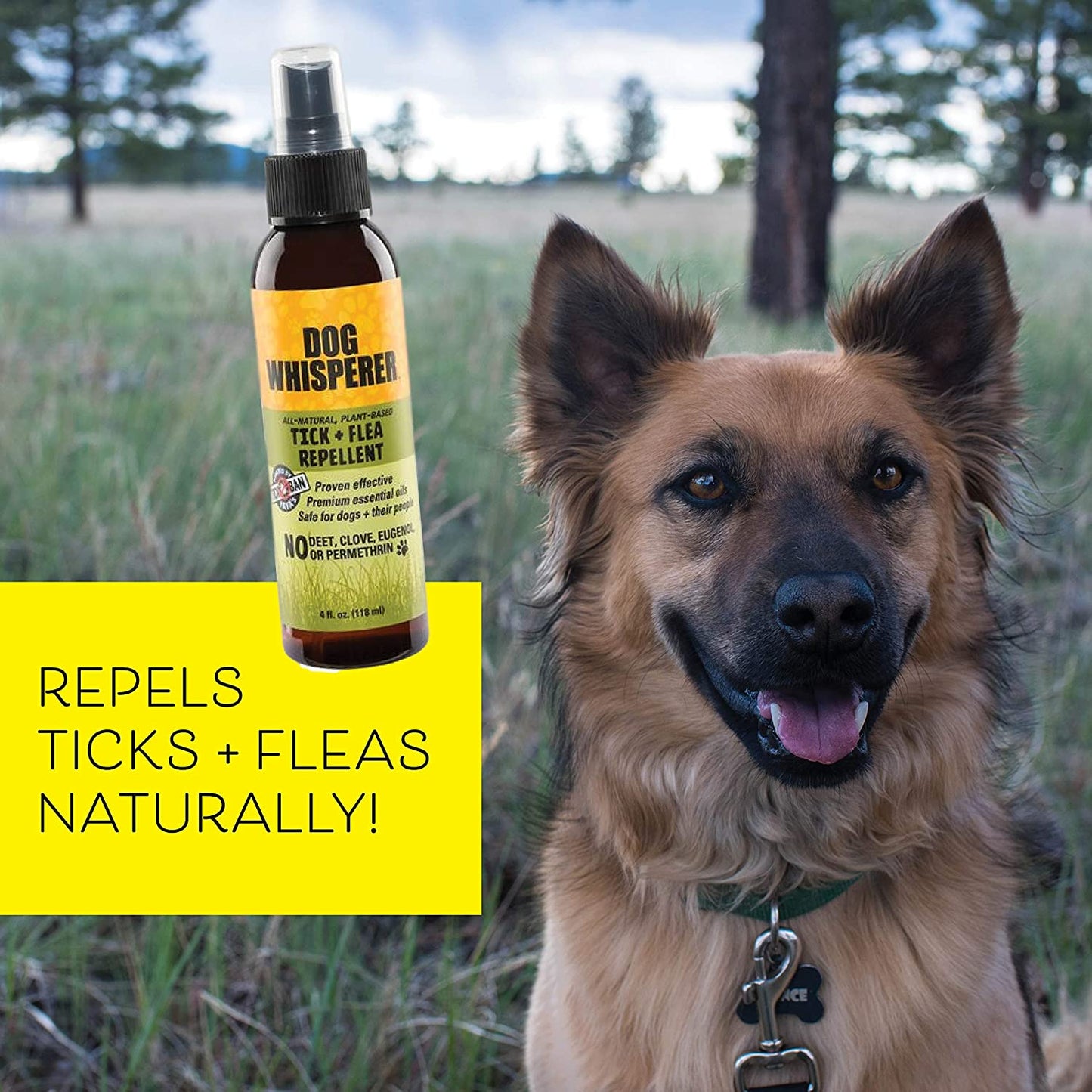 Dog Whisperer Tick + Flea Repellent, All-Natural, Extra Strength, Effective on Dogs and Their People (4 Ounce Spray)