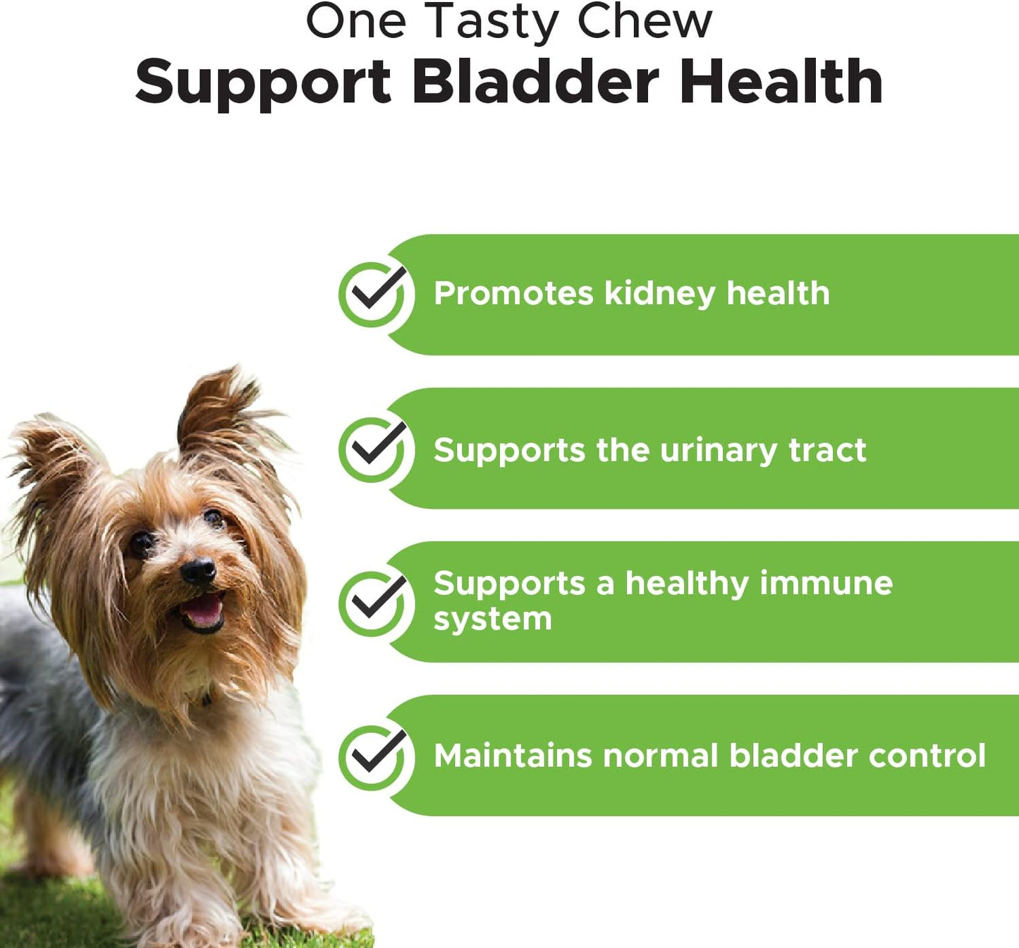 Cranberry Bladder Health for Dogs – Contains Active Ingredients - Cranberry & D-Mannose to Help Support Dog Urinary Tract Health, Dog Bladder Support, & Kidney Support for Dogs (Bacon)