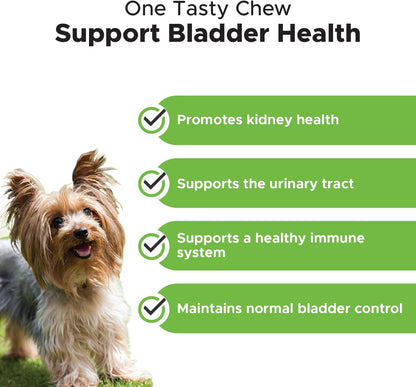 Cranberry Bladder Health for Dogs – Contains Active Ingredients - Cranberry & D-Mannose to Help Support Dog Urinary Tract Health, Dog Bladder Support, & Kidney Support for Dogs (Bacon)