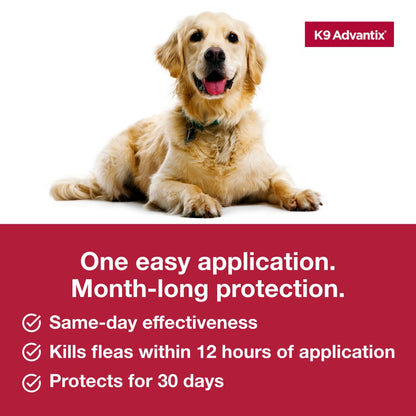 Flea, Tick & Mosquito Prevention for Extra Large Dogs over 55 Lbs, 2-Montly Treatments