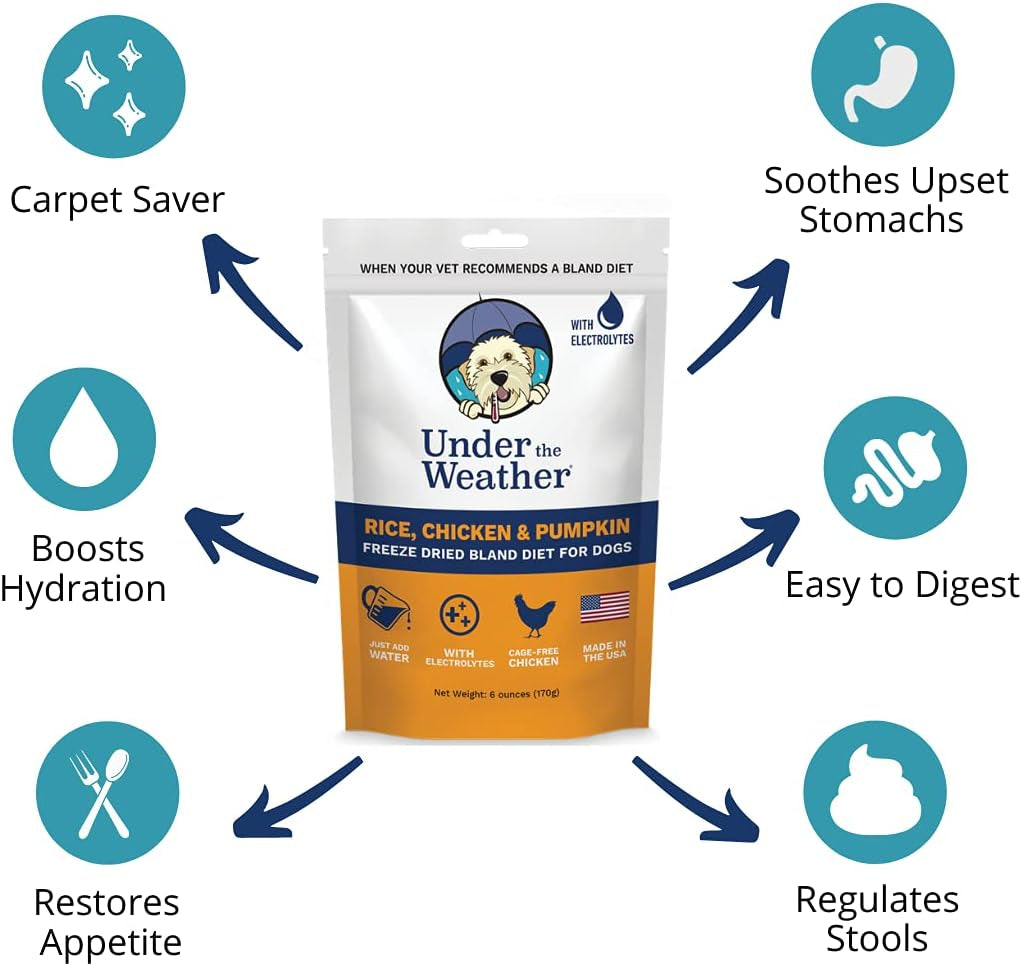 Easy to Digest Bland Diet for Sick Dogs - Always Be Ready - Contains Electrolytes - Gluten Free, All Natural, Freeze Dried 100% Human Grade Meats - Chicken, Rice & Pumpkin