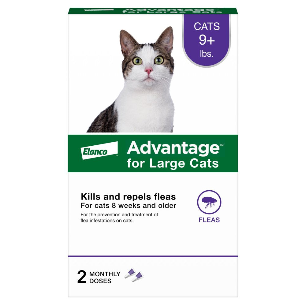 Topical Flea Prevention for Large Cats 9 Lbs+, 2-Monthly Treatments