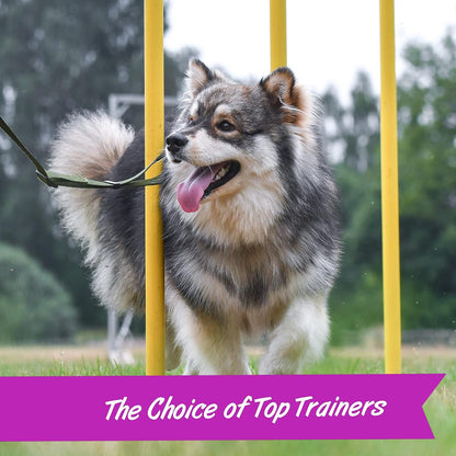 4 Oz. Pouch Training Reward Mini Soft & Chewy, Duck and Bacon Flavor, with 200 Treats per Bag, the Choice of Top Trainers