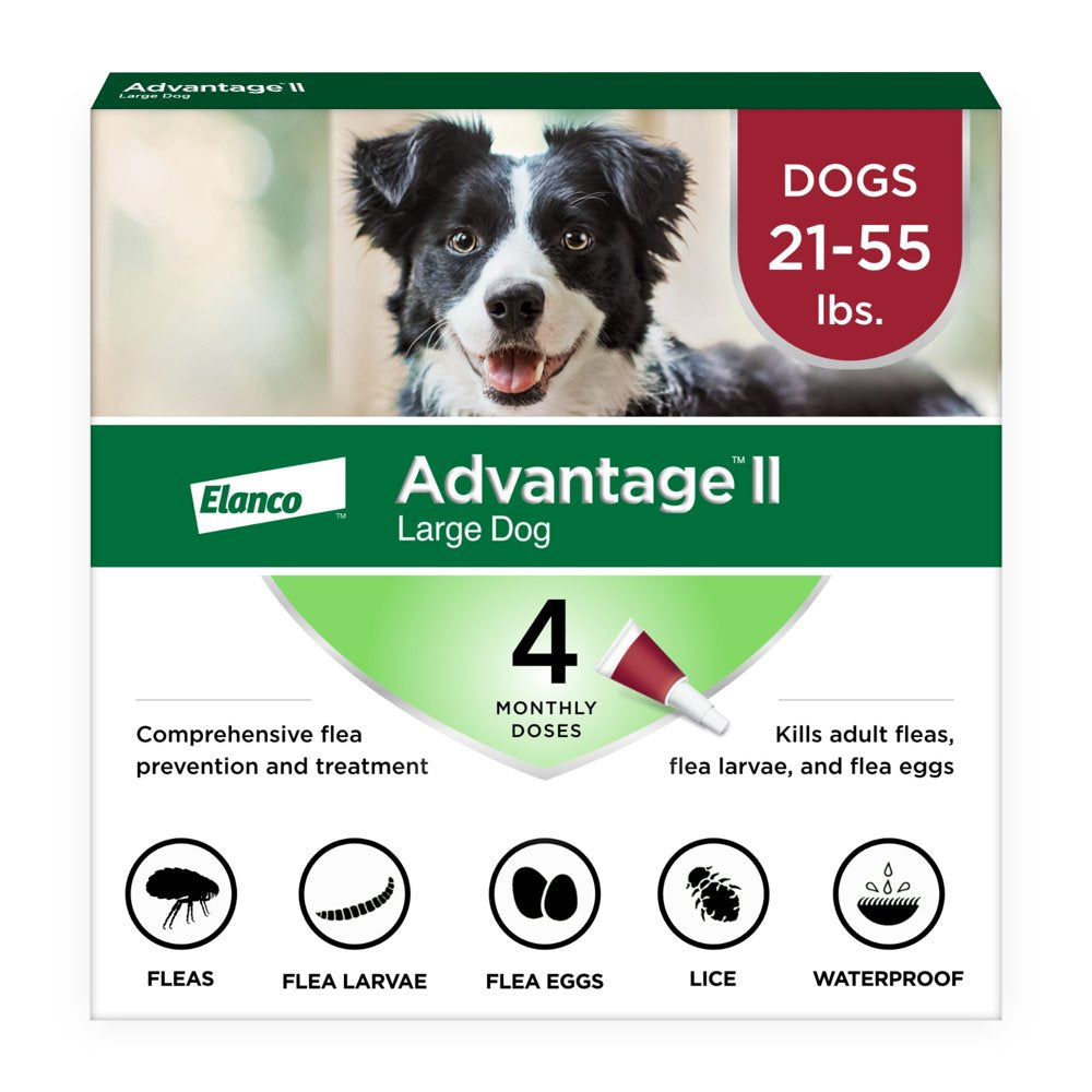 Vet-Recommended Flea Prevention for Large Dogs 21-55 Lbs, 4-Monthly Treatments