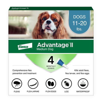 Vet-Recommended Flea Prevention for Medium Dogs 11-20 Lbs, 4-Monthly Treatments