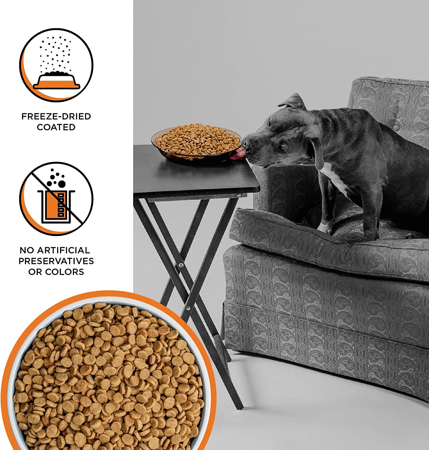 Rawbble Dry Dog Food, Chicken, 24 Lbs - USA Made with Fresh Meat - No Meat Meal & No Corn, Soy or Wheat - Freeze Dried Raw Coated Dog Food - Minimally Processed for Superior Digestibility