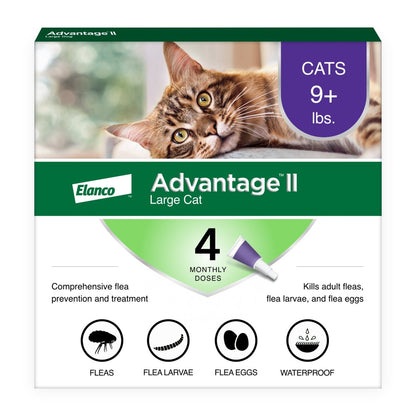 Vet-Recommended Flea Prevention for Large Cats 9 Lbs+, 4-Monthly Treatments