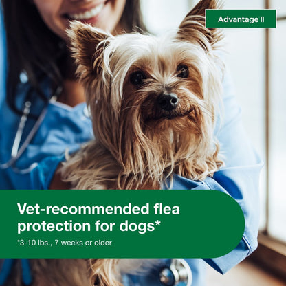 Vet-Recommended Flea Prevention for Small Dogs 3-10 Lbs, 4-Monthly Treatments