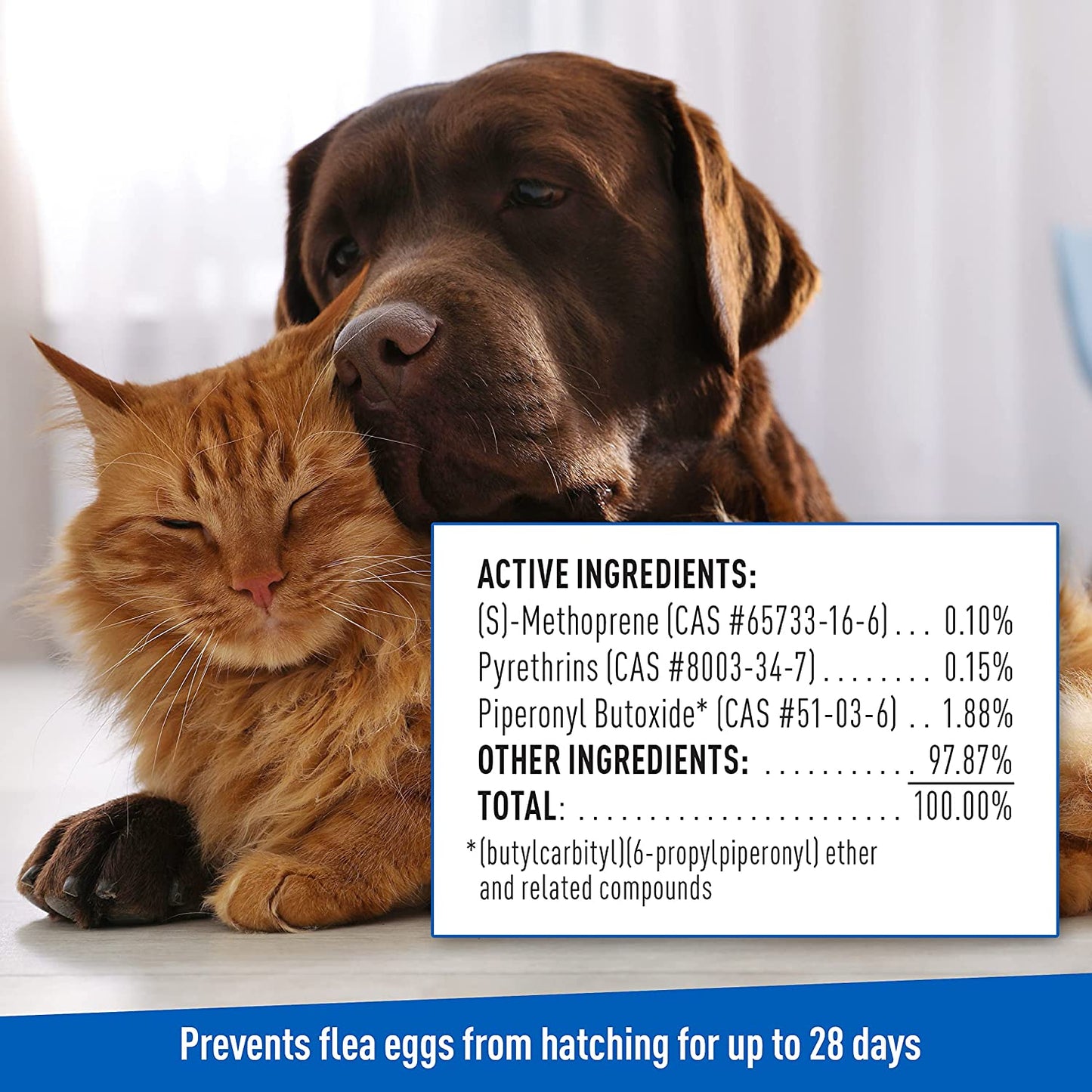 plus Flea & Tick Shampoo with Precor for Cats, Kittens, Dogs & Puppies over 12 Weeks of Age Sensitive Skin Flea Treatment | Kills Adult Fleas, Flea Eggs, Ticks, and Lice