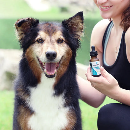 Pet CBD Oil Tincture for Dogs