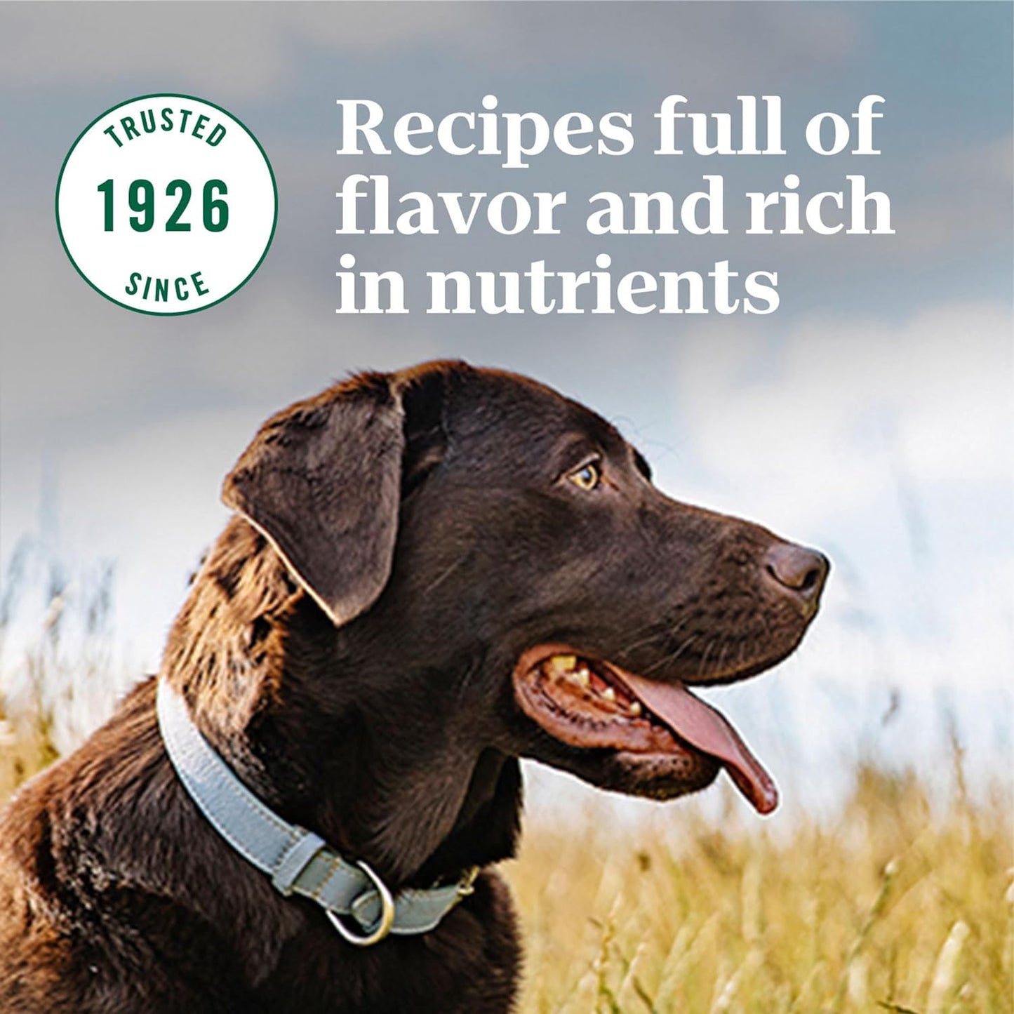 NATURAL CHOICE Healthy Weight Large Breed Adult Dry Dog Food, Chicken & Brown Rice Recipe Dog Kibble, 30 Lb. Bag