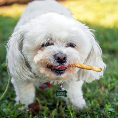 Chicken Wrapped Beefhide, Natural Chicken Rawhide Sticks for Dogs, Long Lasting Canine Twists, Gluten Free Chicken Dog Rawhide Chews, Small Dog Training Treats, 20 Chews