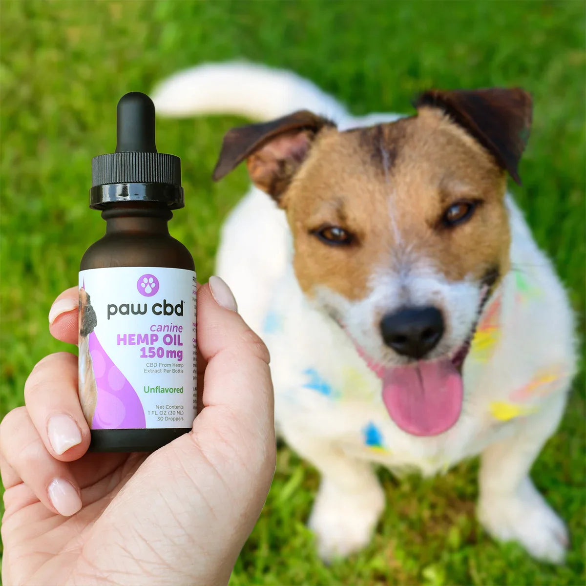 Pet CBD Oil Tincture for Dogs