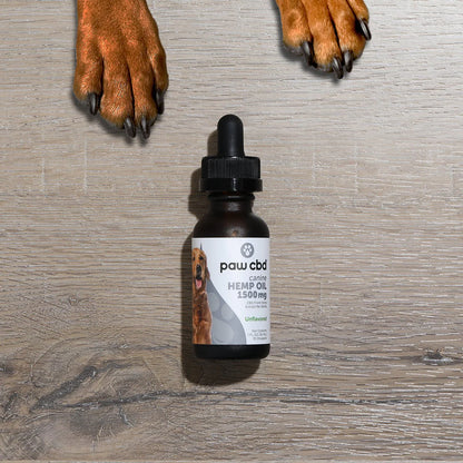 Pet CBD Oil Tincture for Dogs