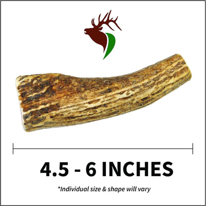 - Small Whole Single Pack (For 10-30 Lb Dogs and Puppies) Premium Grade Elk Antler for Dogs (1 Piece) Sourced in the USA