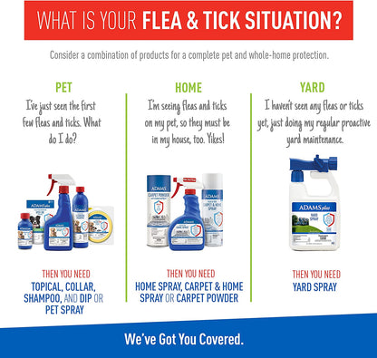 plus Flea & Tick Foaming Shampoo & Wash for Cats & Kittens over 12 Weeks | Sensitive Skin Flea Treatment for Cats and Kittens | Kills Adult Fleas, Ticks, and Lice on Contact | 10 Oz