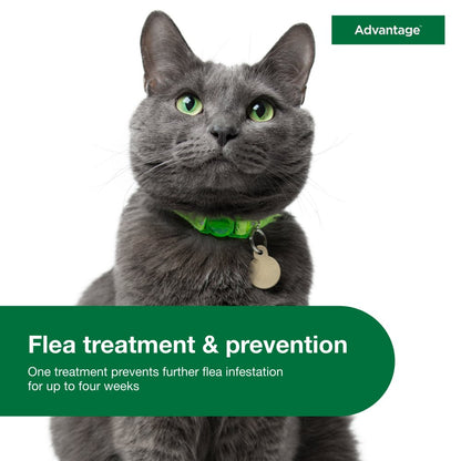 Topical Flea Prevention for Large Cats 9 Lbs+, 2-Monthly Treatments