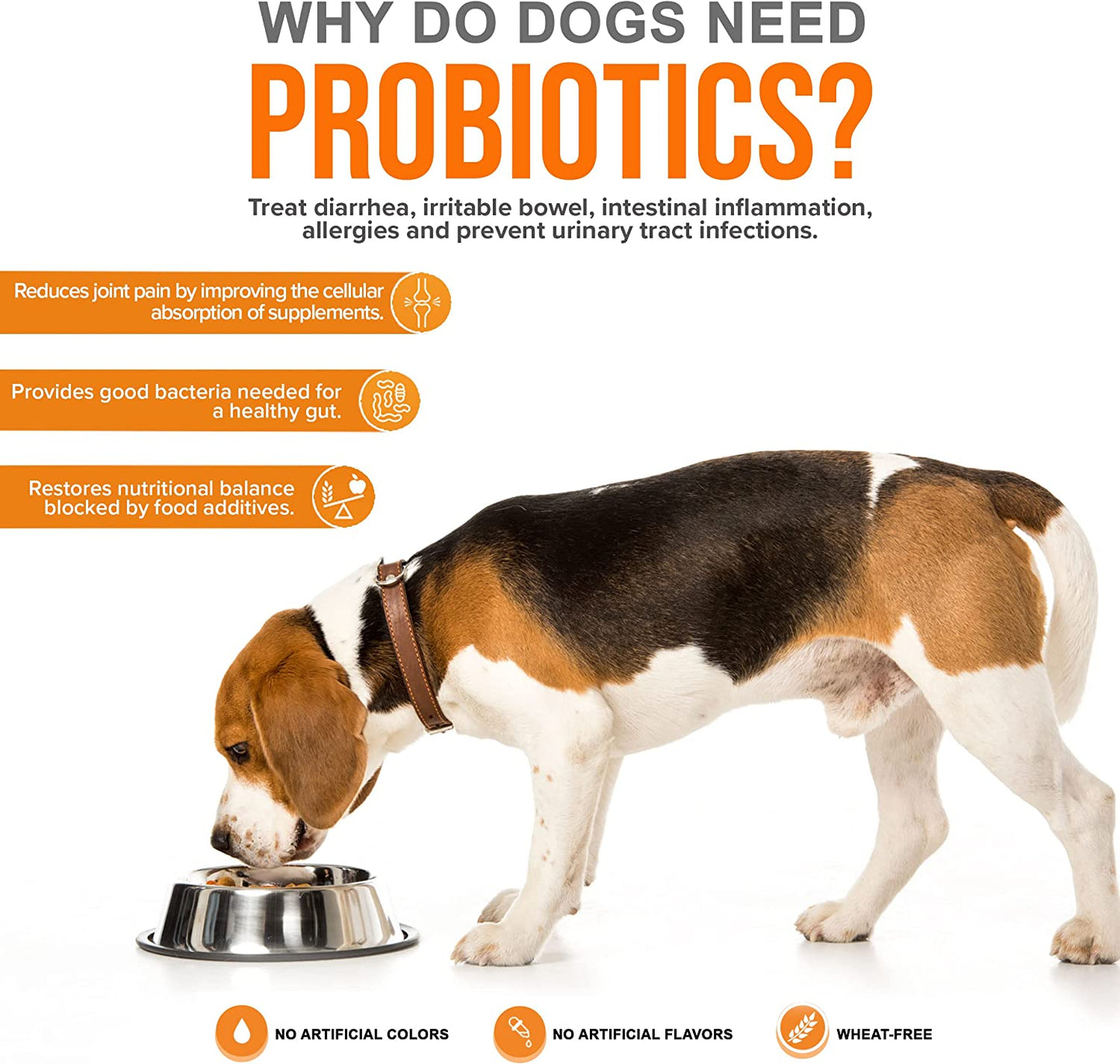 Pet Probiotics for Dogs Supplement - Supports Digestive Enzymes for Nutrient Absorption - 15 Billion Active Probiotic Cultures Attack Inflammation to Prevent Infection