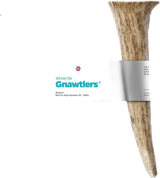 Gnawtlers- Premium Elk Antlers for Dogs, Naturally Shed Elk Antlers for Dogs, All Natural Elk Antler Dog Chew, Dog Bones, Specially Selected from the Heartland Regions (Medium (Pack of 1))