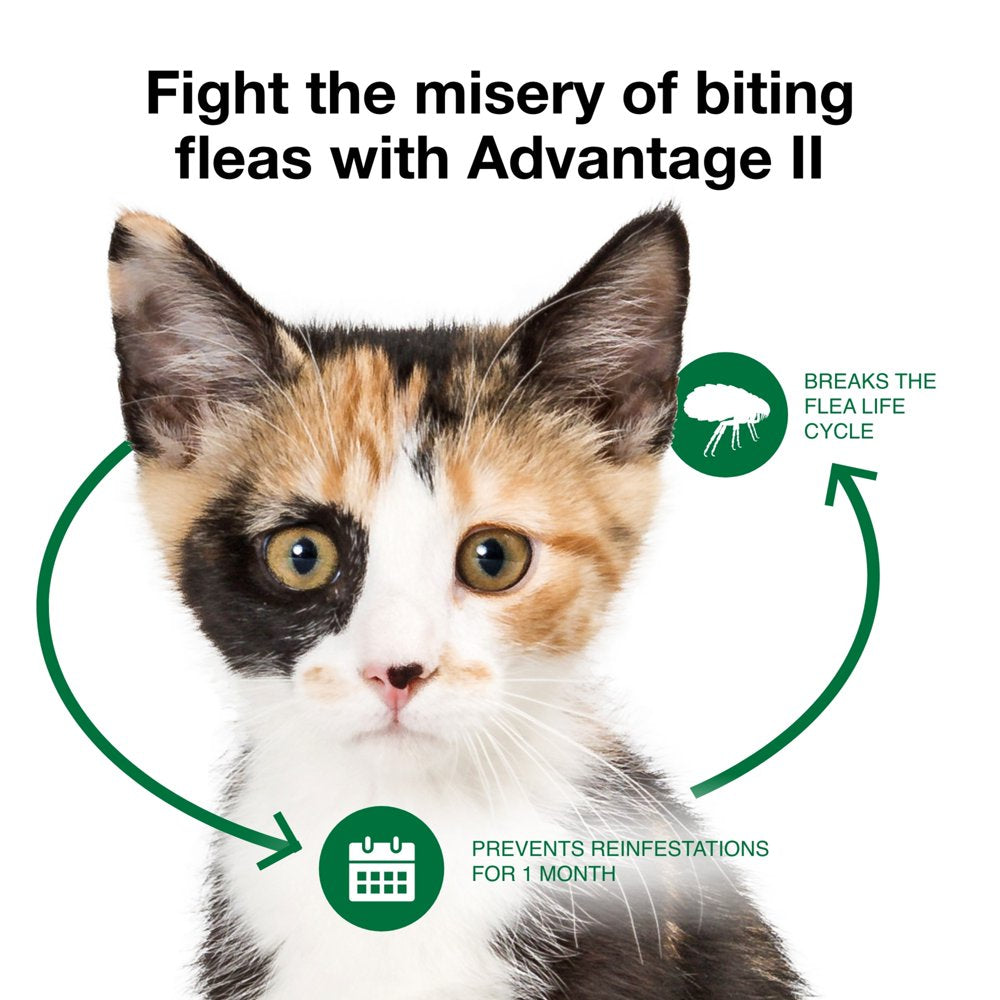 Vet-Recommended Flea Prevention for Kittens & Cats 2-5 Lbs, 2-Monthly Treatments