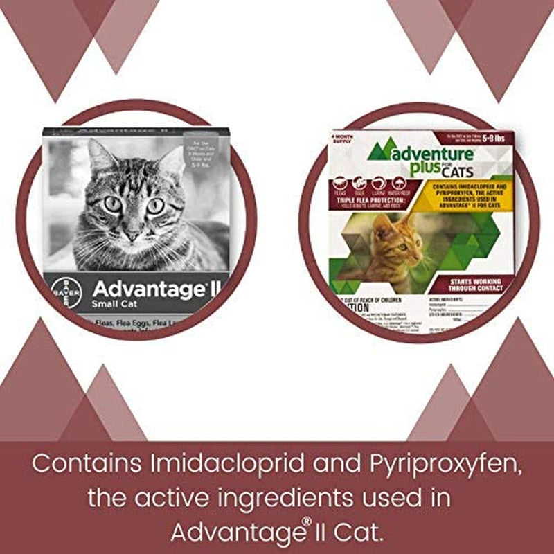 Adventure plus Flea Prevention for Cats - Topical Flea Treatment for Cats (5-9 Lbs) (Pack of 4)