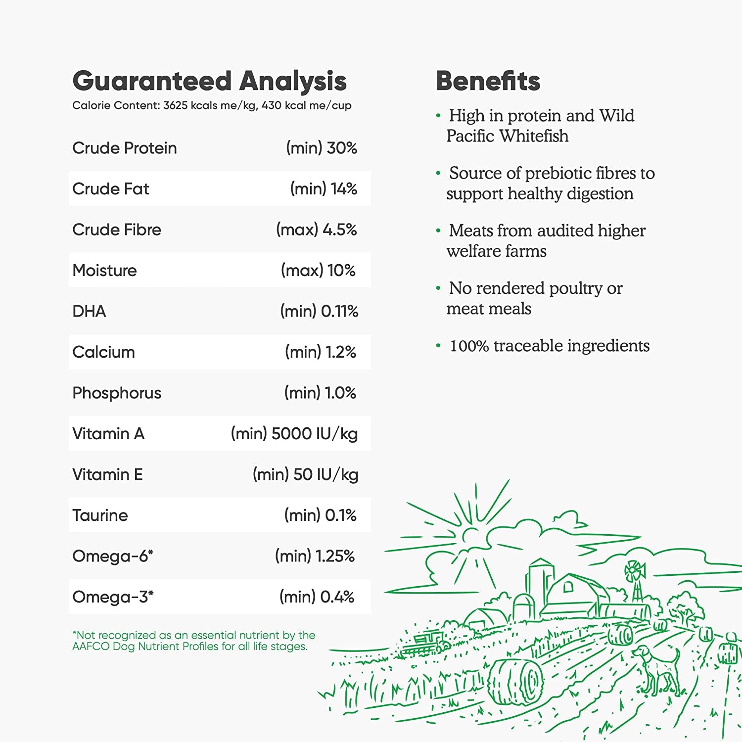 Catch-Of-The-Day Grain-Free Whitefish and Green Lentil Recipe Dry Dog Food 4.5 Pounds