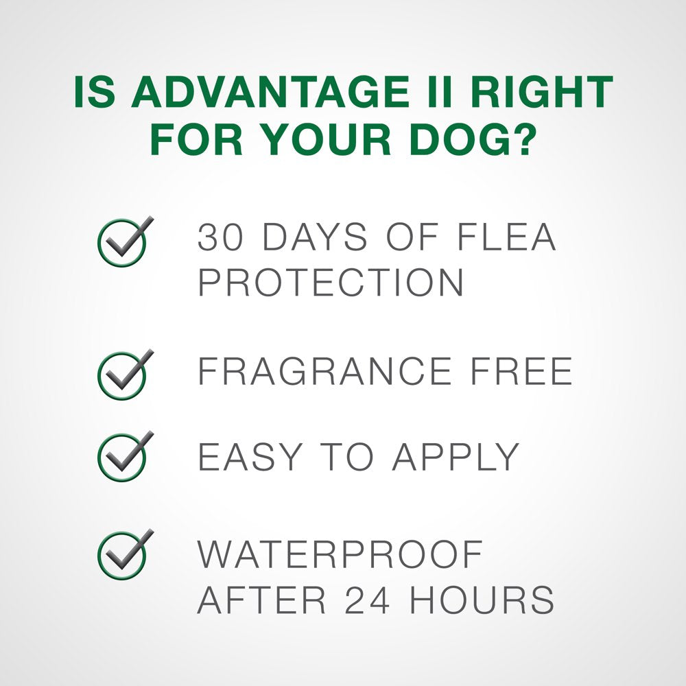 Vet-Recommended Flea Prevention for Large Dogs 21-55 Lbs, 6-Monthly Treatments