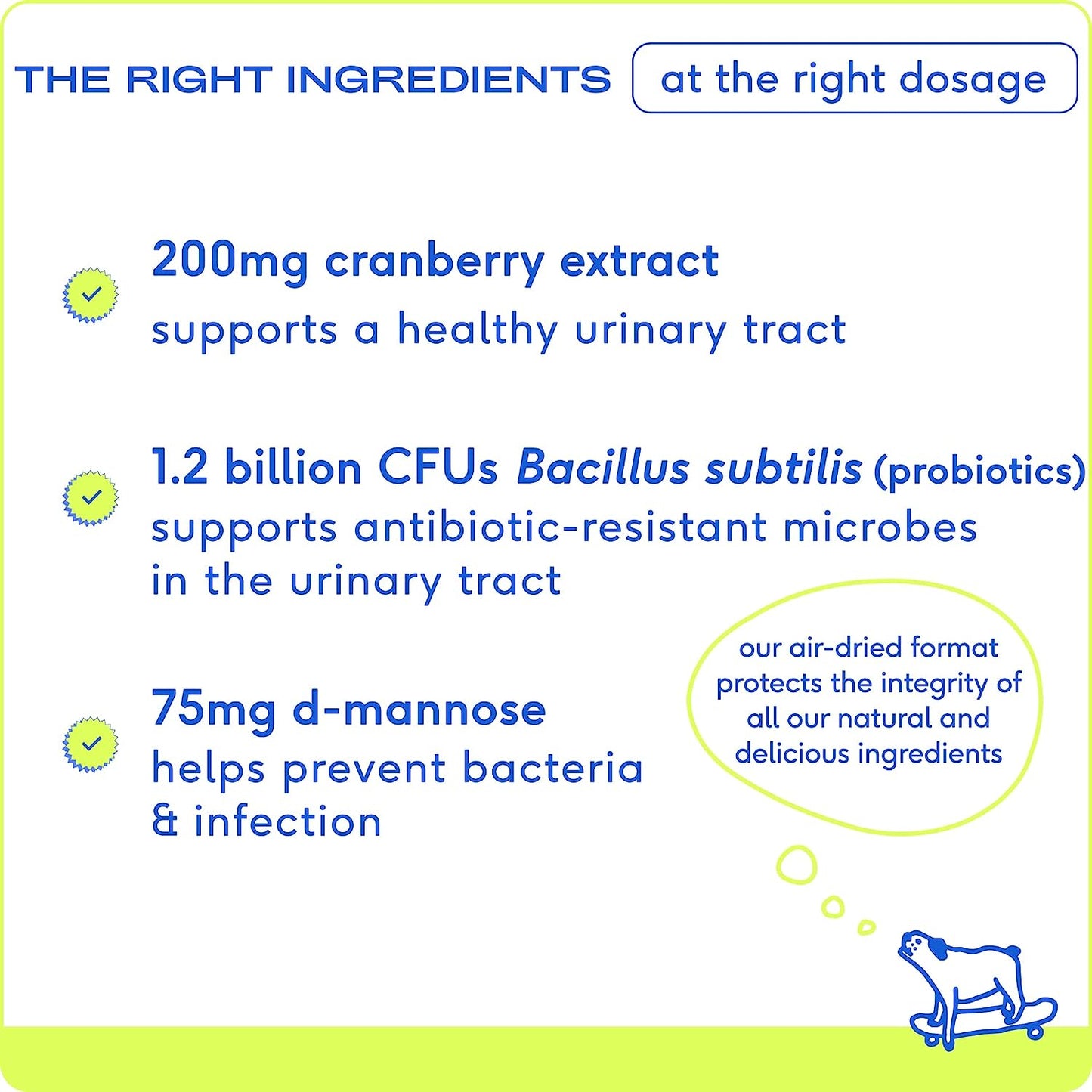 Dog UTI Treatment - Cranberry Chews for Dogs and Cat UTI - Bladder Control for Dogs - Dog Urinary Tract Infection Treatment - UTI Medicine for Dogs - Dog Cranberry Supplement - 120 Chews