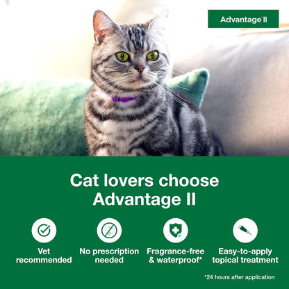 II Large Cat Vet-Recommended Flea Treatment & Prevention | Cats over 9 Lbs. | 4-Month Supply