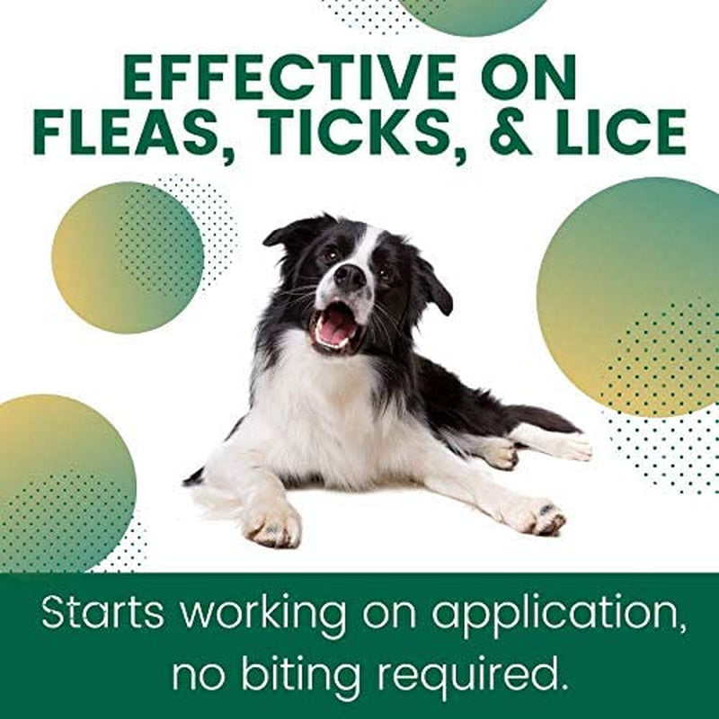 plus Flea and Tick Prevention for Dogs (XL - 89-132 Lb)