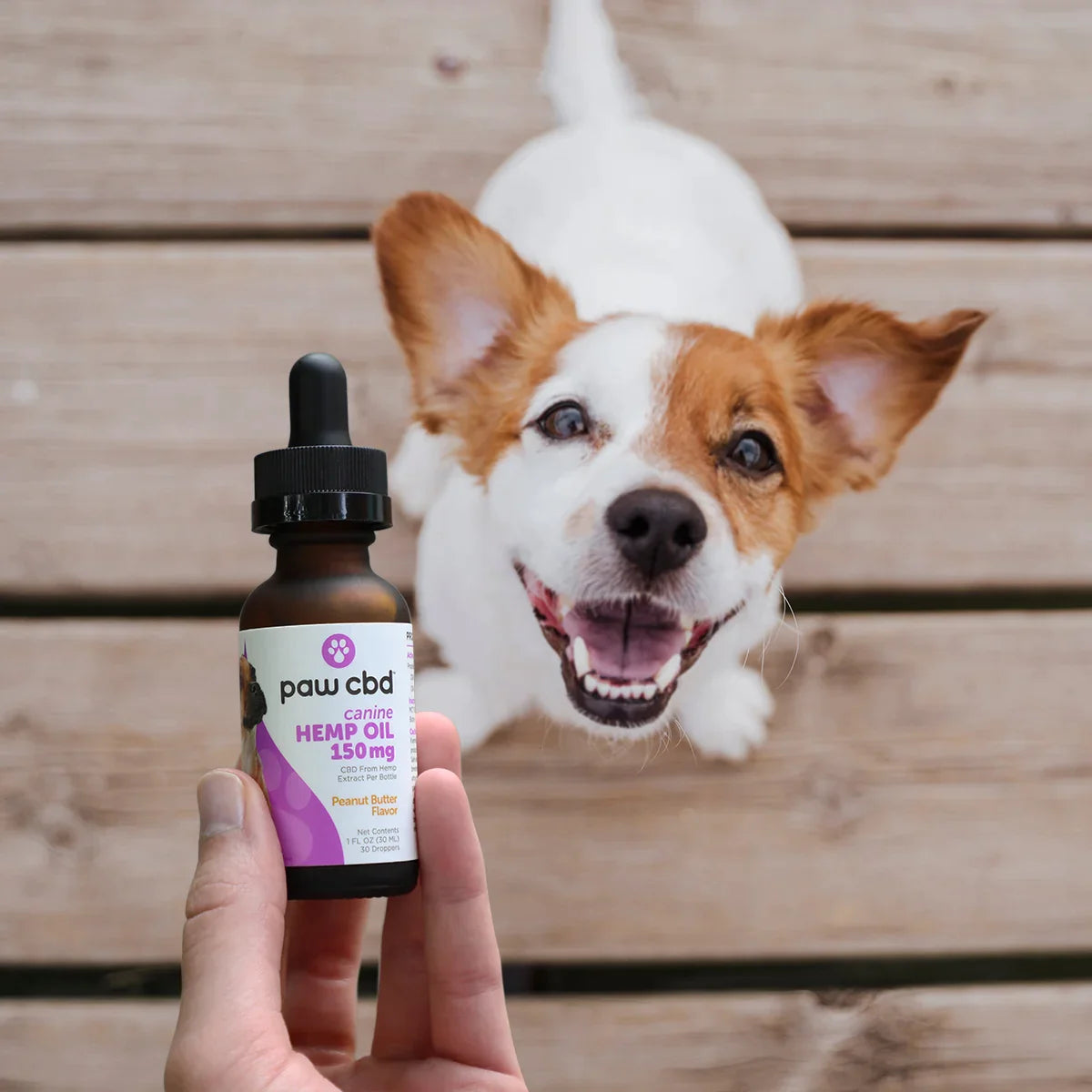 Pet CBD Oil Tincture for Dogs