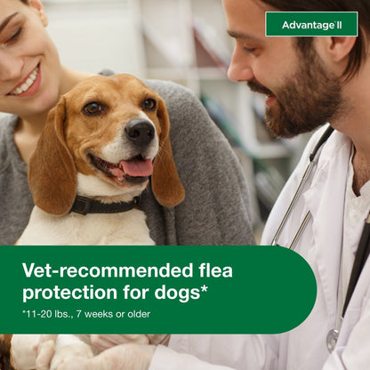 Vet-Recommended Flea Prevention for Medium Dogs 11-20 Lbs, 6-Monthly Treatments