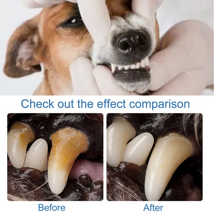 Pet Tartar Remover Removing Dental Calculus Bad Breath Yellow Teeth