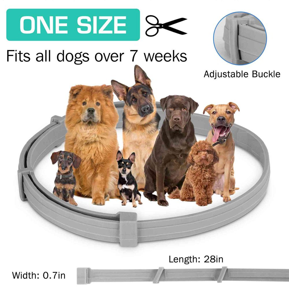 Natural Ingredients, Flea and Tick Prevention and Treatment Collar for Chesapeake Bay Retriever and Other Large Size Sporting Dogs Dogs. Waterproof & Adjustable. (2 Pack with Comb)