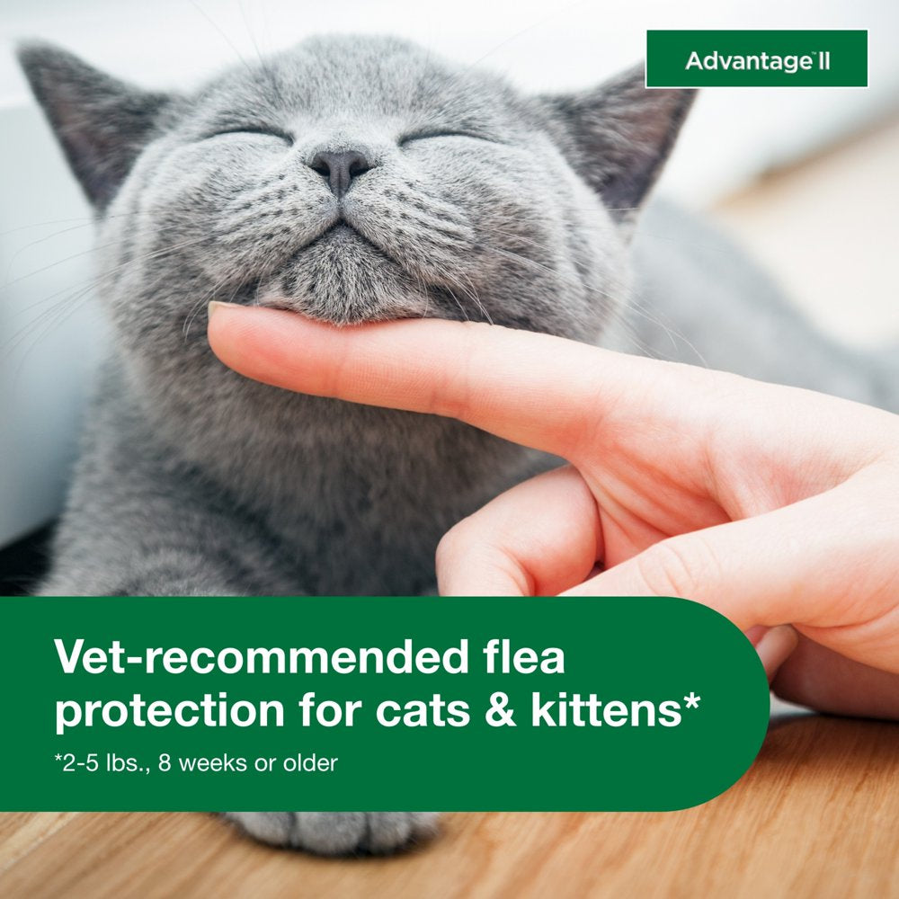 Vet-Recommended Flea Prevention for Kittens & Cats 2-5 Lbs, 2-Monthly Treatments