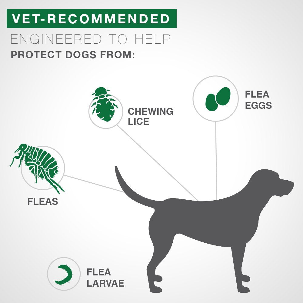 Vet-Recommended Flea Prevention for Large Dogs 21-55 Lbs, 6-Monthly Treatments